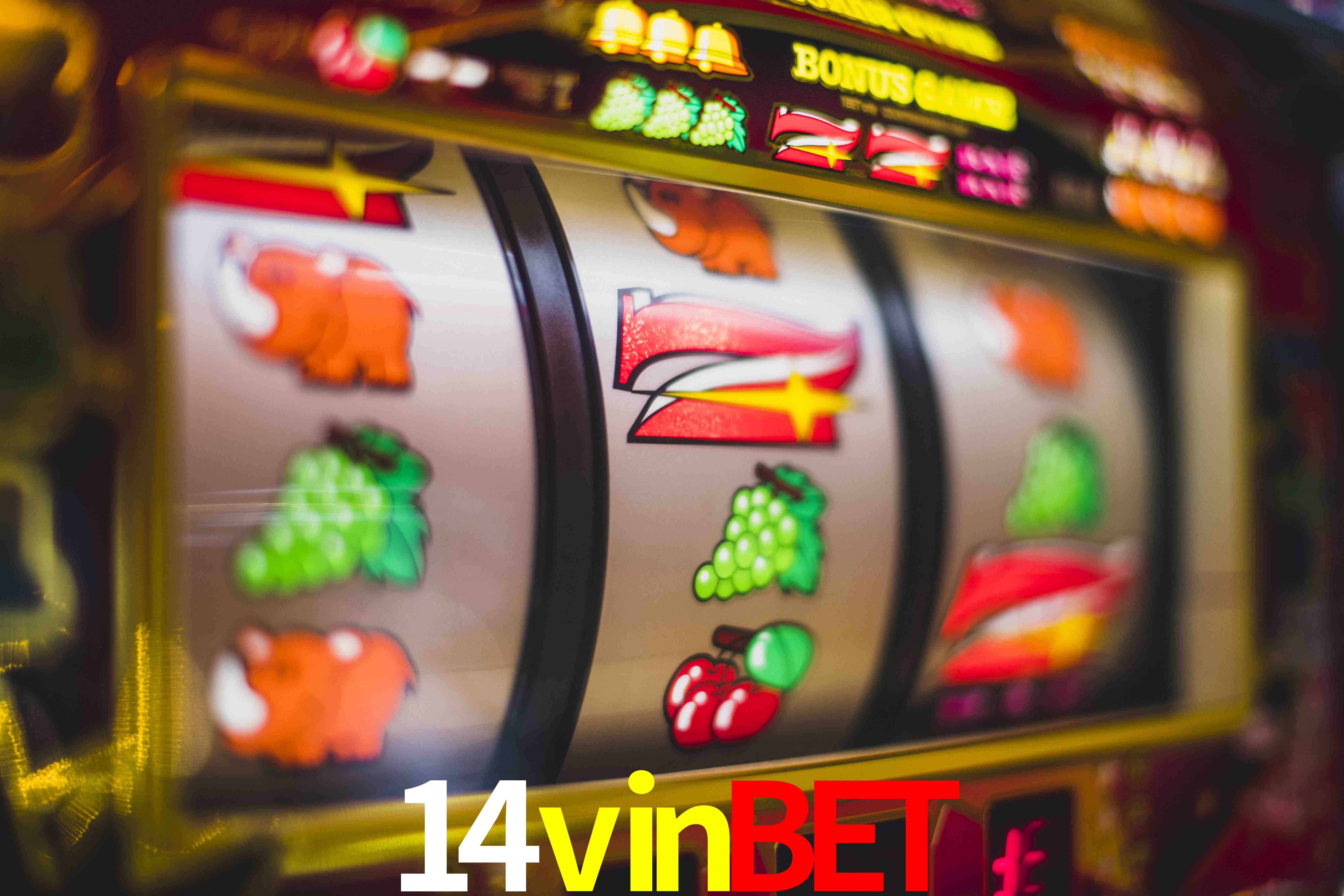 Tennis Betting 14vinbet